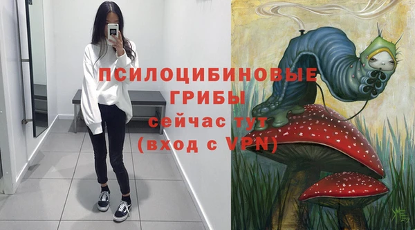 не бодяженный Приозерск